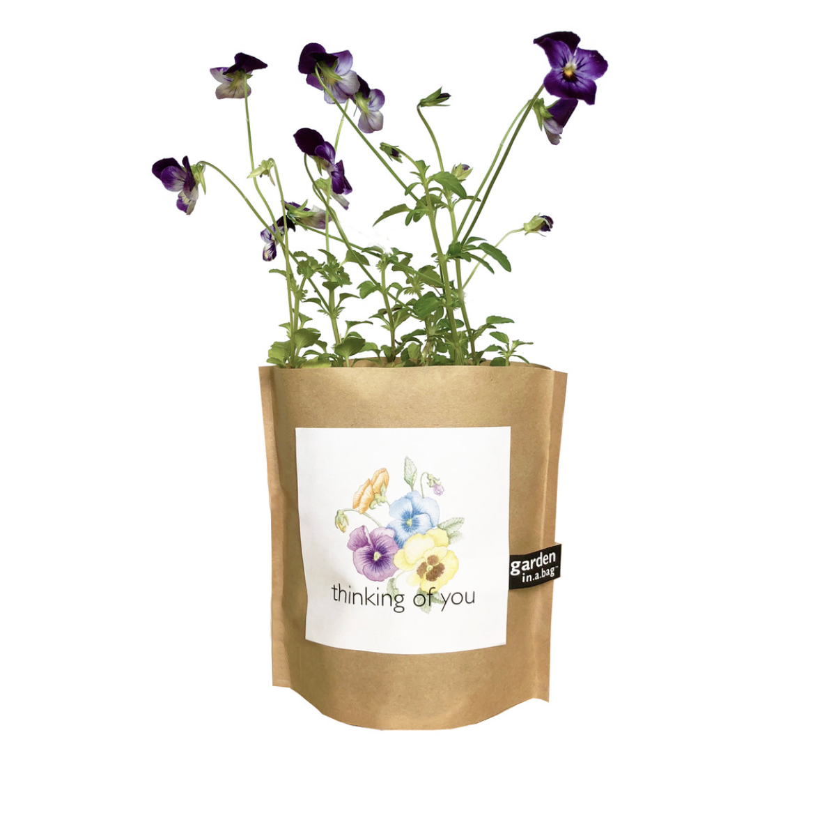 THINKING OF YOU GARDEN GIFT BOX