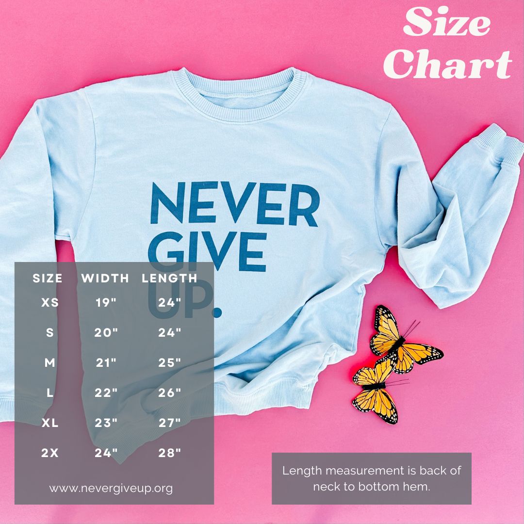 NEVER GIVE UP. GLACIER GRAY PULLOVER