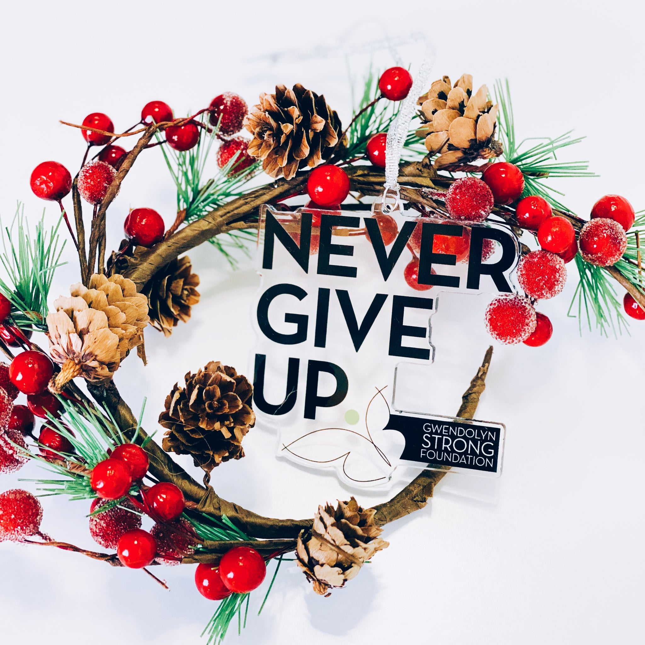 NEVER GIVE UP. ORNAMENT
